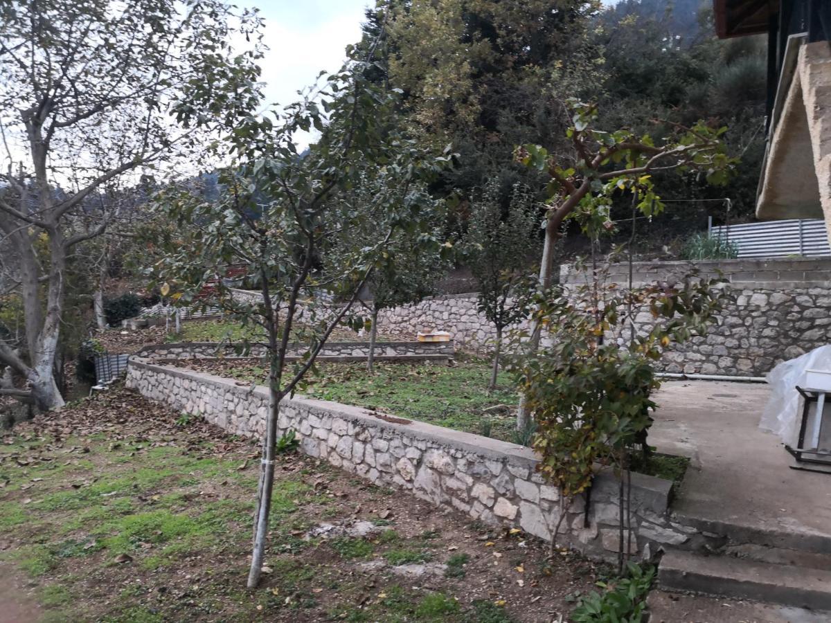 Villa καλοσκοπη Luxury House